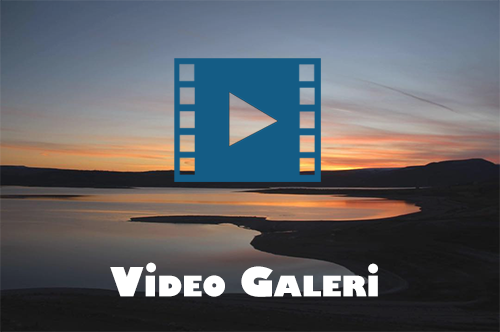 Günyüzü Video Galeri